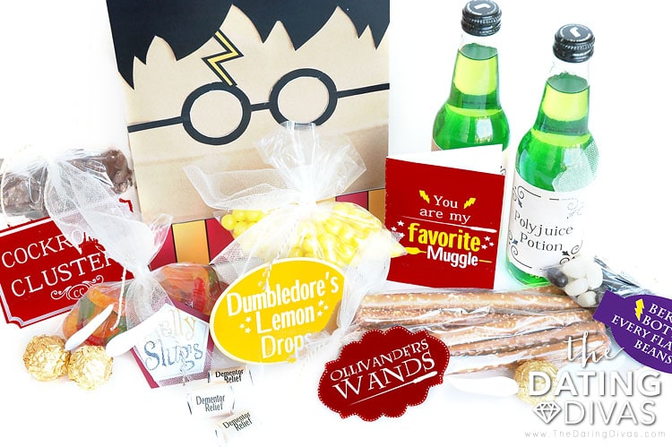 Harry Potter Gift Bag Idea - From The Dating Divas