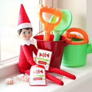 Christmas Elf Kit - The Dating Divas