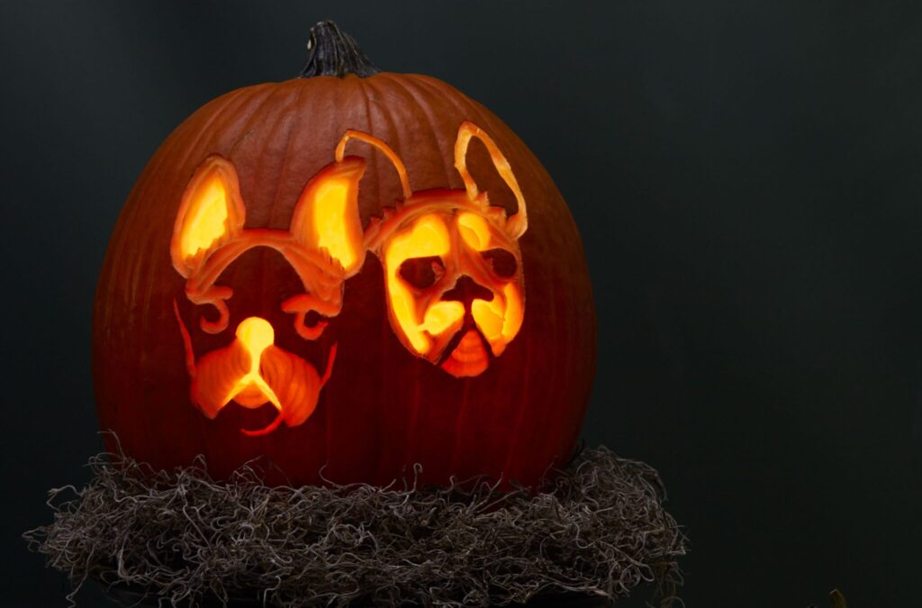 dog bone pumpkin carving