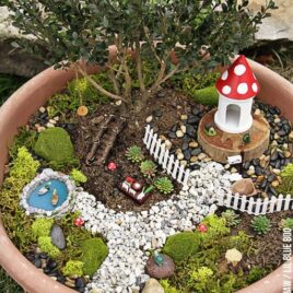 30 Creative Fairy Garden Ideas for Families | The Dating Divas